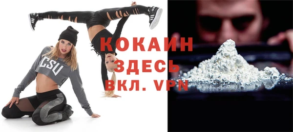 кокс Алексин
