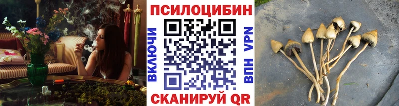 наркотики  Югорск  Галлюциногенные грибы GOLDEN TEACHER 